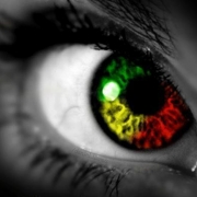 Avatar de perlarys