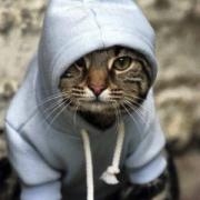 Avatar de marauder3