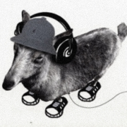 Avatar de Cemetery Beats
