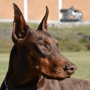 Avatar de hachemc