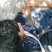 Avatar de mcDrago