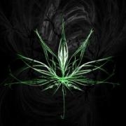 Avatar de Avvrasta