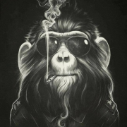Avatar de RIELONE
