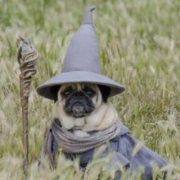 Avatar de El Mueso