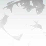 Avatar de quickmind