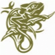 Avatar de KmaleoN
