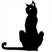 Avatar de bruxo