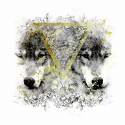 Avatar de J.Metamorfosis
