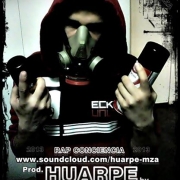 Avatar de HuarpeMc