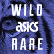 Avatar de ASICSTiger