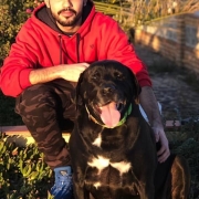 Avatar de Furta
