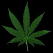 Avatar de er_pista
