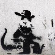 Avatar de RatoneraProd.
