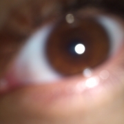 Avatar de F.L.Y.