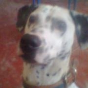 Avatar de JoseteKox