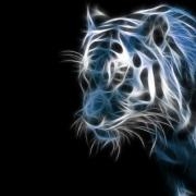 Avatar de JosNar
