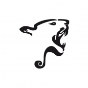 Avatar de Pinan450f
