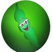 Avatar de Niguel