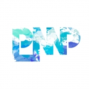 Avatar de PMP