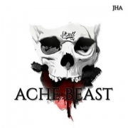 Avatar de Ache beast
