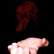 Avatar de NemesisRap