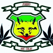 Avatar de Luis Rubén De la torre