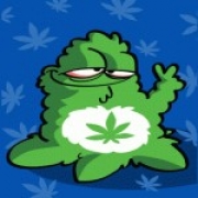 Avatar de craste
