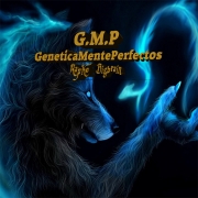 Avatar de berdiez