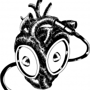 Avatar de lamutazion