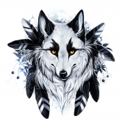Avatar de SAZ