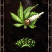 Avatar de slam367