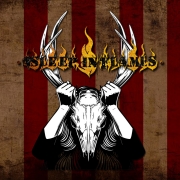 Avatar de Asleep In Flames