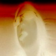 Avatar de slvh_rap