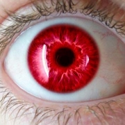 Avatar de ENFERMA P :