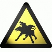 Avatar de Skull_Nomad
