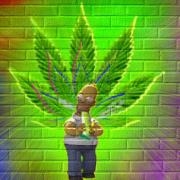Avatar de julygan