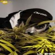 Avatar de Shak_Chronic