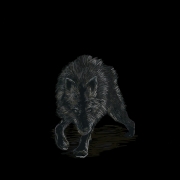Avatar de Saw-Rock