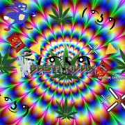 Avatar de Cosas del Trap C.D.T