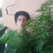 Avatar de 9coma9