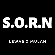 Avatar de S.O.R.N