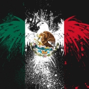 Avatar de iClonne