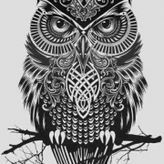 Avatar de Escomay