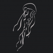 Avatar de Medu