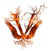 Avatar de Voicot