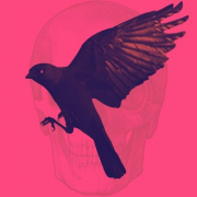 Avatar de Raven