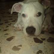 Avatar de Big M