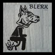 Avatar de BLERX