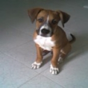 Avatar de Faki-R