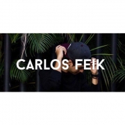 Avatar de Carlos Feik